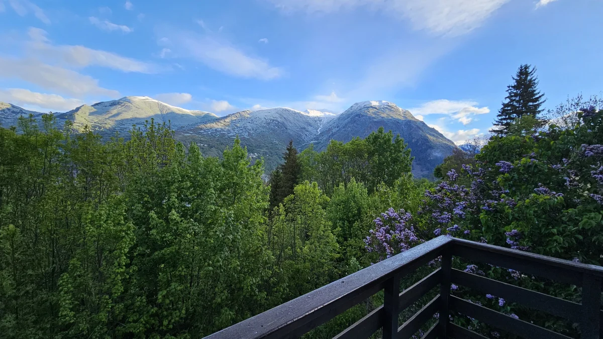 Vue terrasse printemps