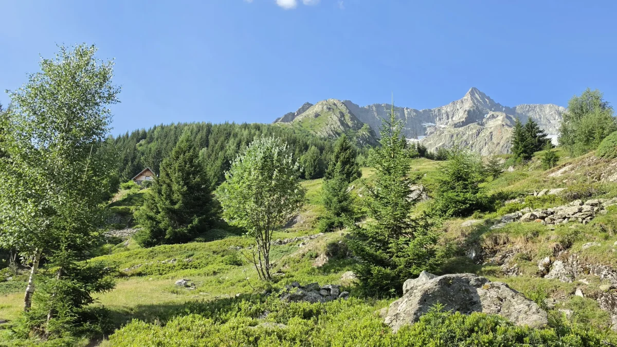 🏔️ Le Tour du Refuge de l'Alpe du Pin par le Vallon de la Mariande : Randonnée sauvage dans le Vénéon